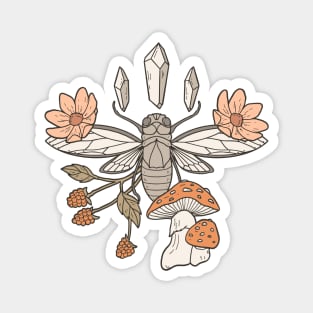 Cicada Magnet