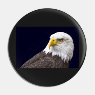 Bald Eagle Pin