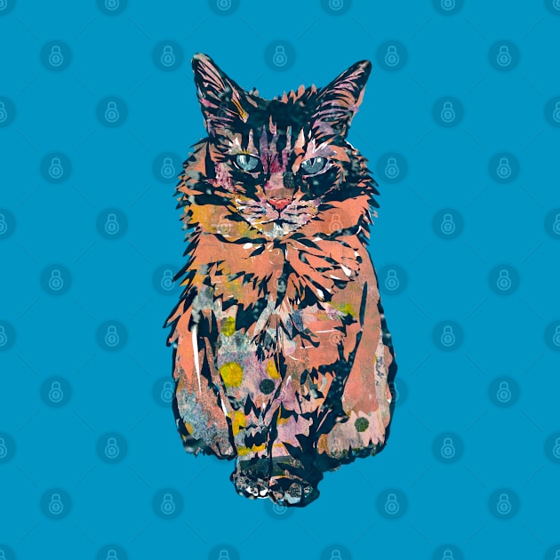 Navy Coral Polka Dot Kitty Cat by Gina's Pet Store