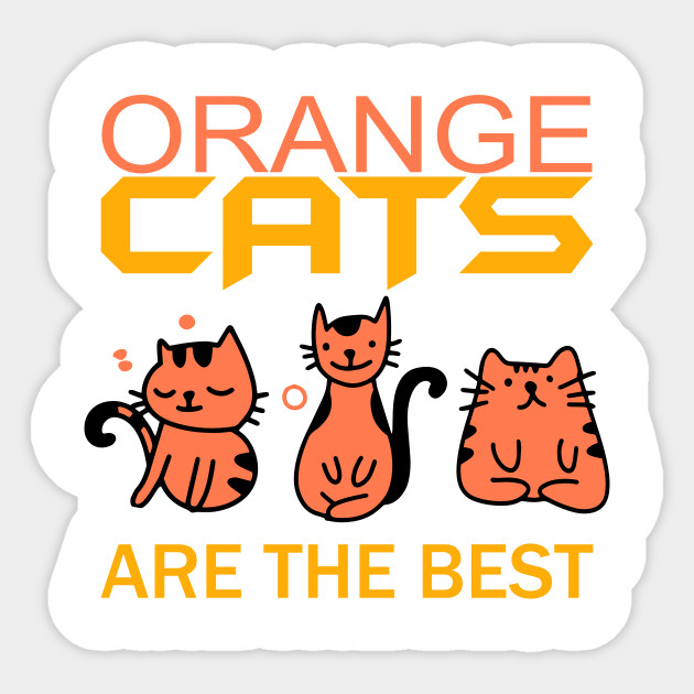 Funny Orange Cats Orange Cats Are The Best Orange Cats