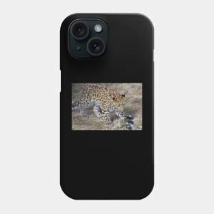 Leopard Cub Phone Case