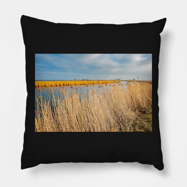 View over the River Yare in Acle on the Norfolk Broads Pillow by yackers1