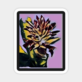 Pop Art Bromeliad Magnet