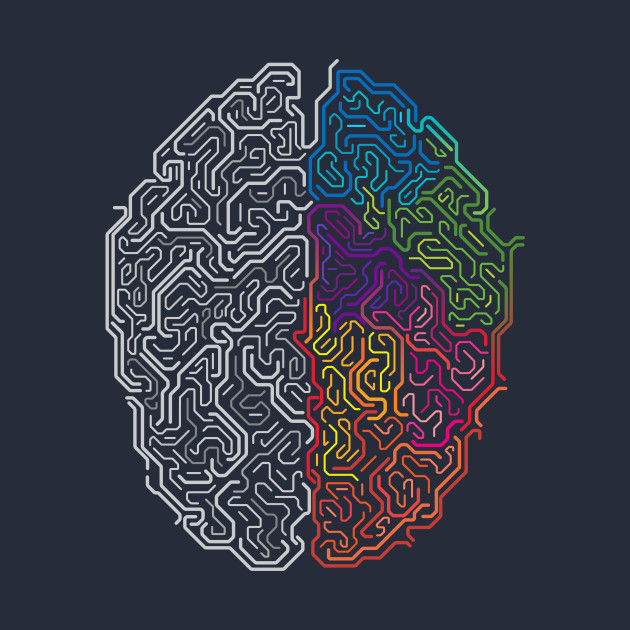 Image result for brain colorful