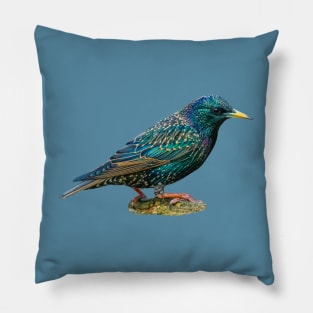 Starling Pillow