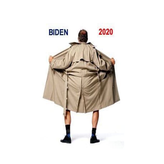 Biden 2020 by BlueDolphinStudios