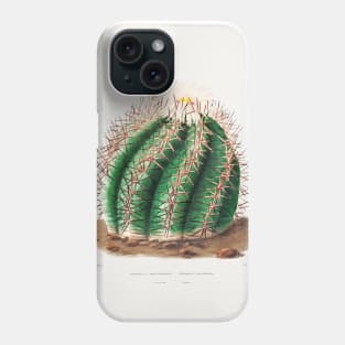 Turk's Head Cactus (Echinocactus Horizonthalonius) from Iconographie descriptive des cactées by Charles Antoine Lemaire (1801–1871). Phone Case