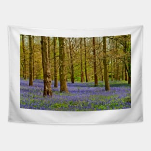 Bluebell Woods Greys Court Oxfordshire UK Tapestry