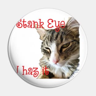 STANK EYE, I haz it! annoyed Maine Coon cat Pin