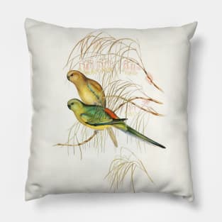 Red-backed Parakeet Pillow