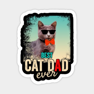 Best Cat Dad Ever Cat Daddy Magnet