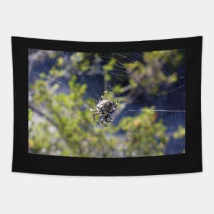 Spider in a Web Tapestry