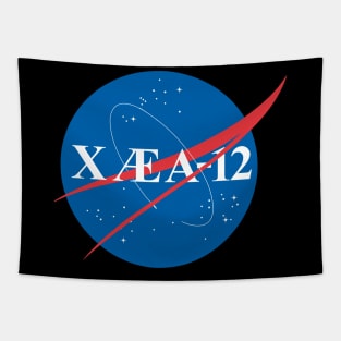 X Æ A-12 Mashup Tapestry