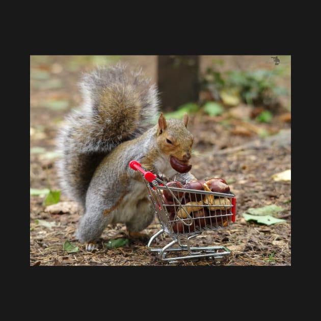 squirrel with shopping cart by Simon-dell