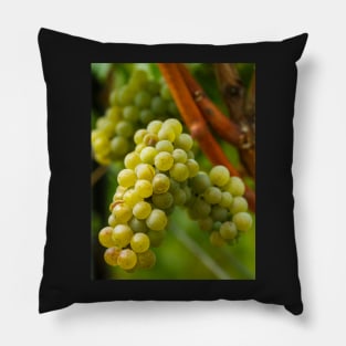 Ripening grapes on the vine Pillow