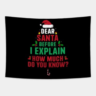 Dear Santa I Can Explain Funny Christmas Pajama Adults Kids Tapestry