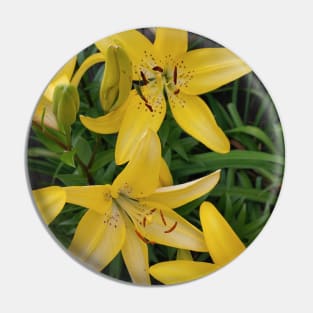 Yellow lilys Pin