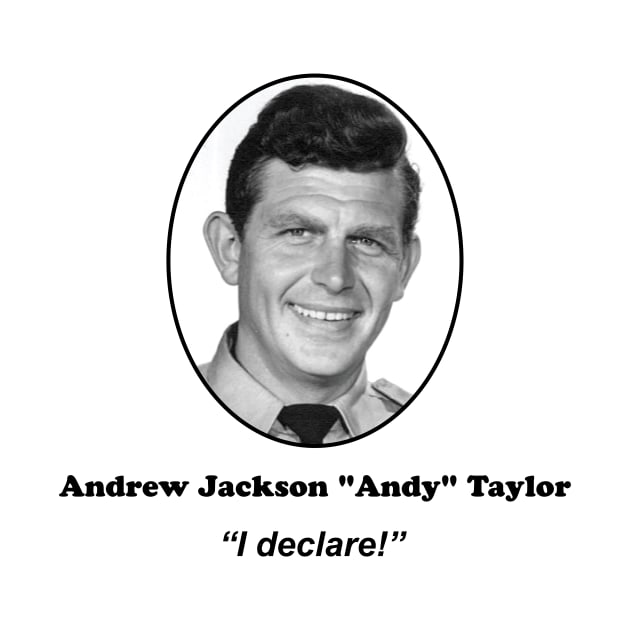 Andy Declares! by The Wayback Chronicles