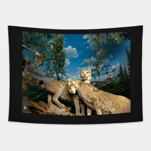 Natural environment diorama - two leopards Tapestry