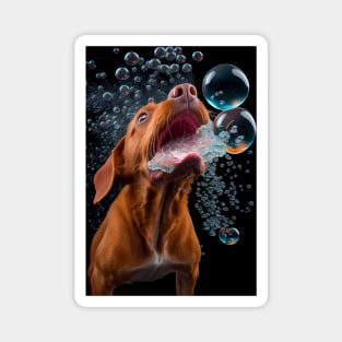 Dog in Water #2 Magnet