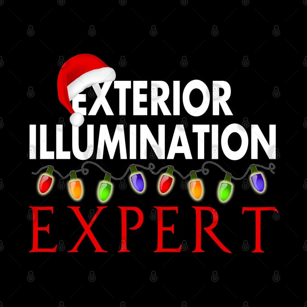 Exterior Illumination Expert Christmas Light Decorator by Otis Patrick