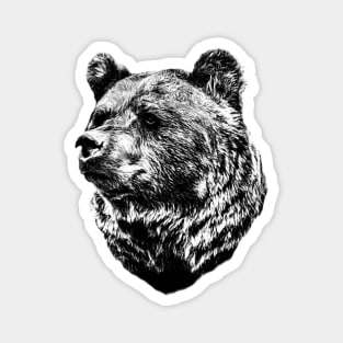 Brown bear Magnet