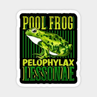 Pool Frog Magnet