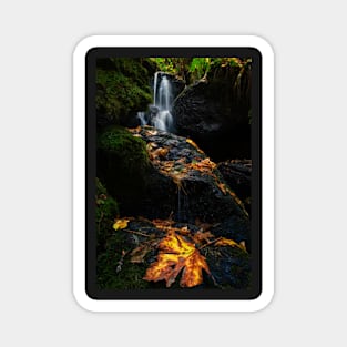 Autumn Waterfall Magnet