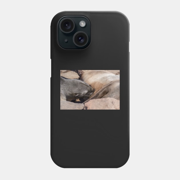 Baby fur seal feeding. Phone Case by sma1050