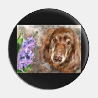 Long Hair Dachshund with a Purple Hyacinth Pin