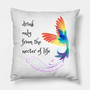 Hummingbird Spirit Pillow