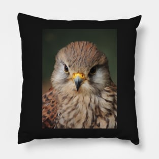 Kestrel Pillow