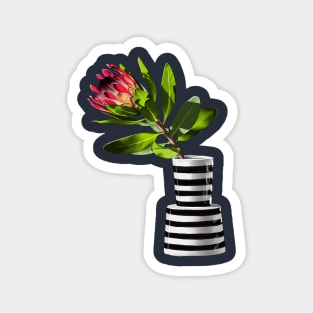 Protea Magnet