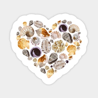 Shell Collection from Maldives Magnet