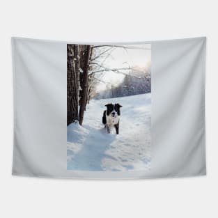 Border Collie Tapestry