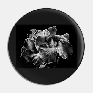 Backyard Flowers In Black And White 2 Pin