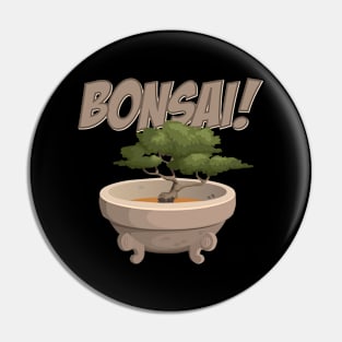 Bonsai! A bonsai tree in a decorative pot Pin