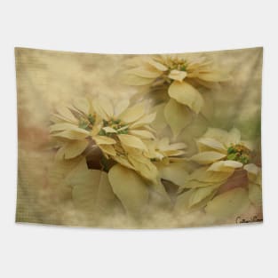 Cream Colored Poinsettias Digital Art Tapestry