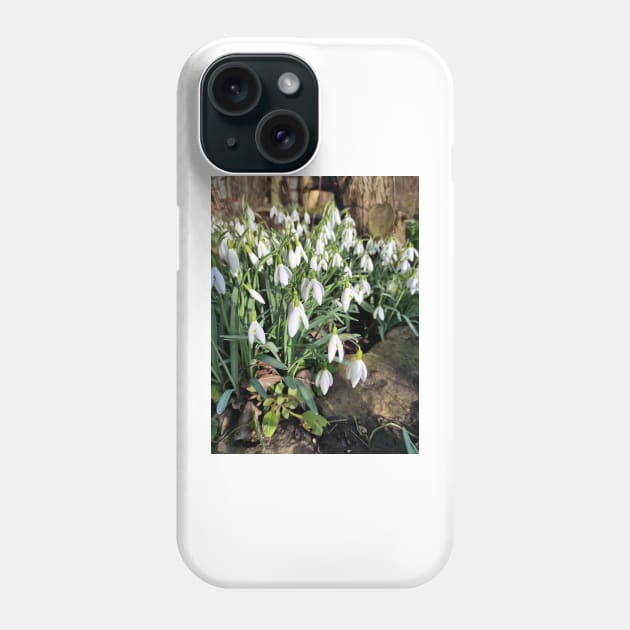 snowdrop Phone Case by Gourmetkater