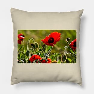 Pretty Poppy Panorama Pillow