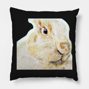 Sir Patches of FairyCastleFarm Pillow