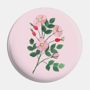 Wild Roses with Rosehips Watercolor Illustration Pin