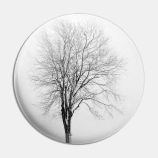 Skeletal Tree in a Snow Squall - BW Pin