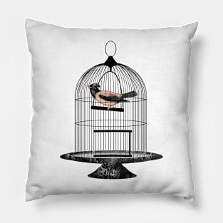 The Jail Bird Pillow