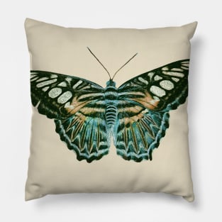 Butterfly Majestic Blue and Orange Pillow