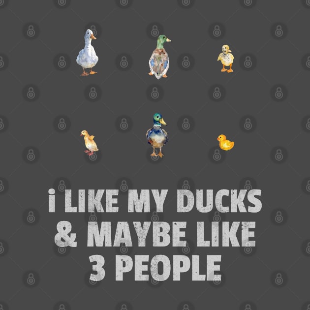 I like my ducks and maybe like three people by marko.vucilovski@gmail.com