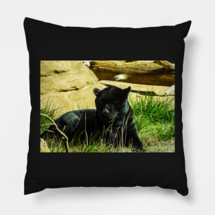 Black Panther Pillow