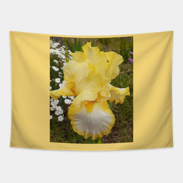 Yellow Iris Flower Tapestry by SarahRajkotwala