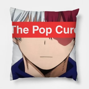 Box logo & Todoroki Pillow