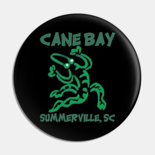 Cane Bay Alligator Pin